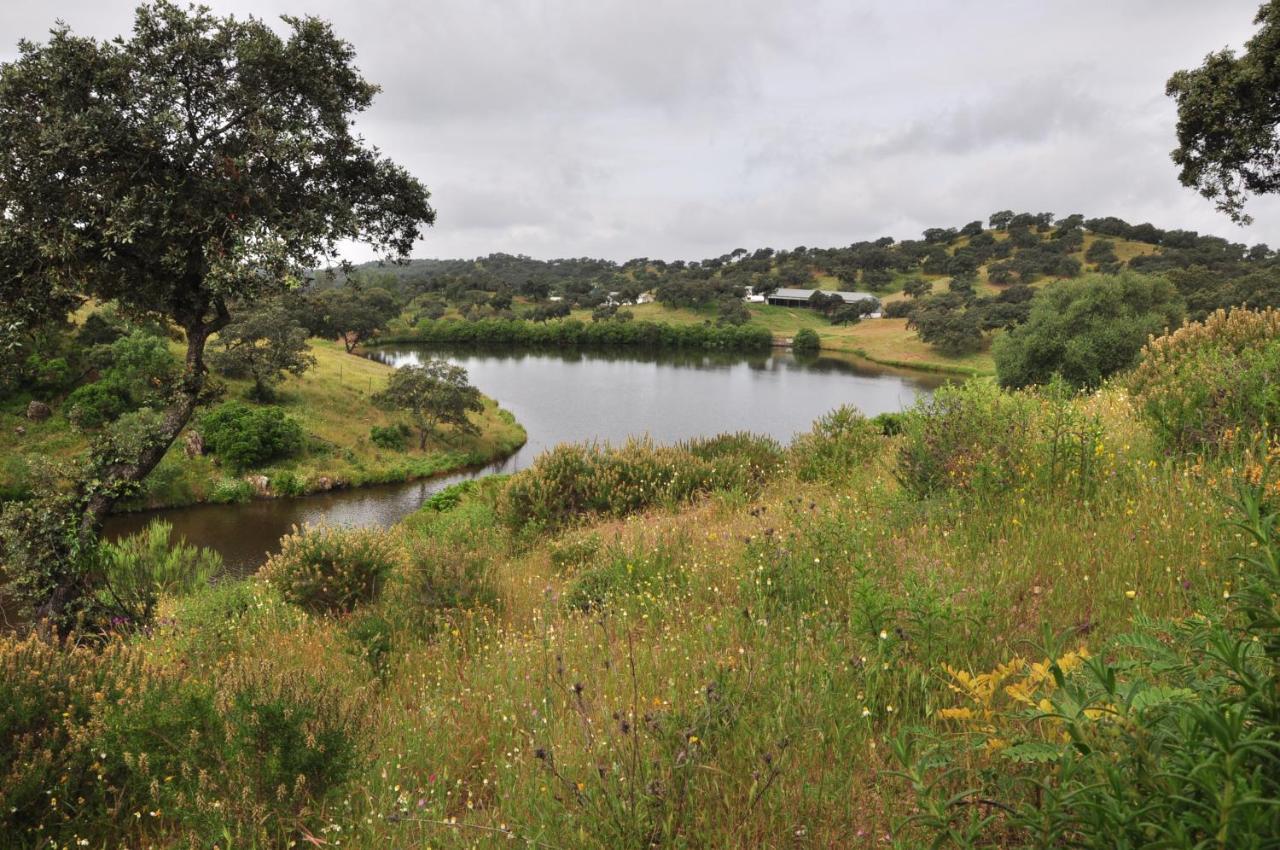 La Rejaquera Villa Villanueva del Rio y Minas Buitenkant foto