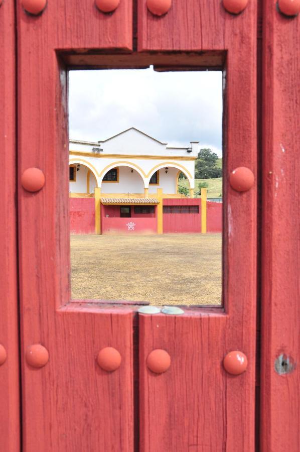 La Rejaquera Villa Villanueva del Rio y Minas Buitenkant foto