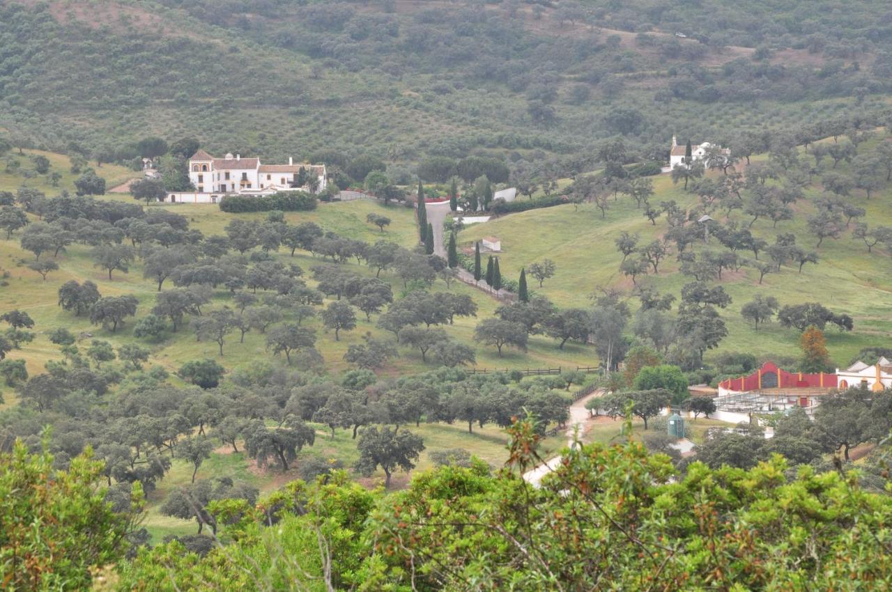 La Rejaquera Villa Villanueva del Rio y Minas Buitenkant foto